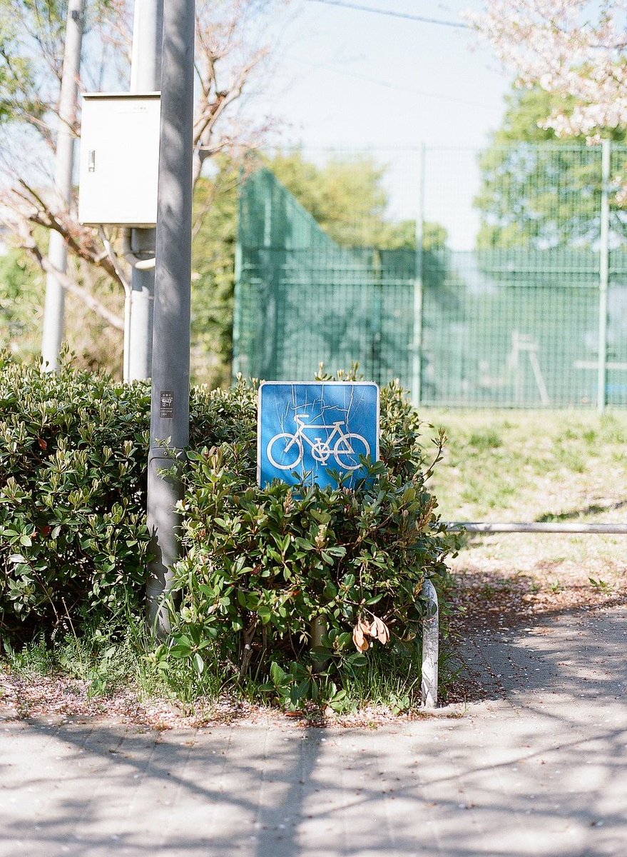 【本田寫眞】Chikashi🪼 tweet media