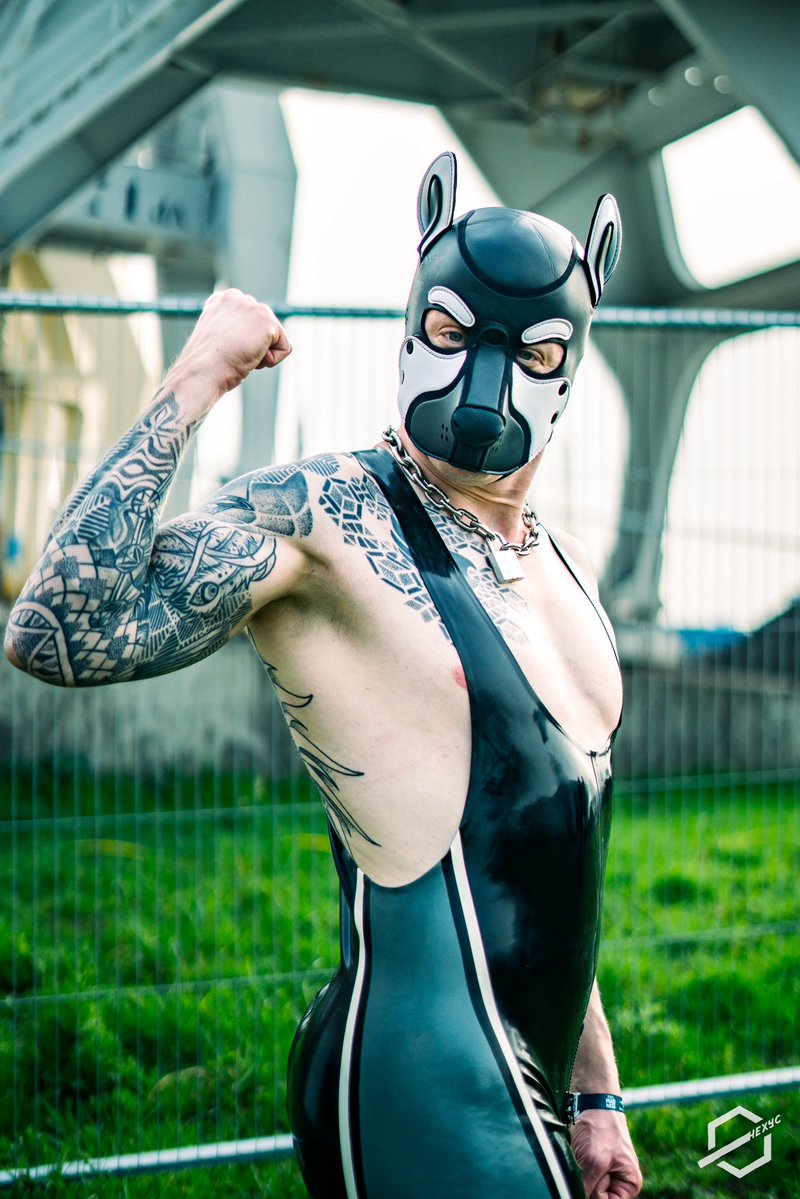 Huxley 🔜 Confuzzled tweet media