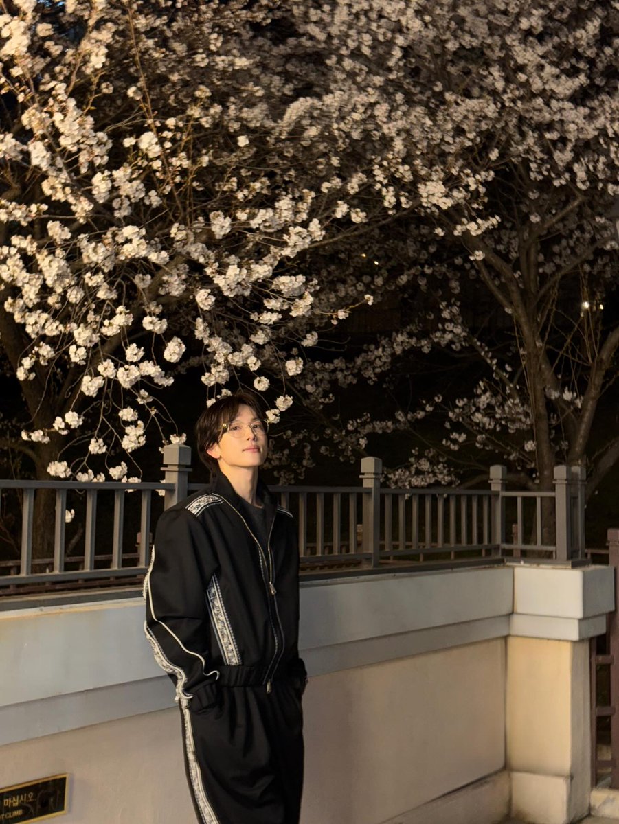 🦢스완샨꽃🌸 tweet media