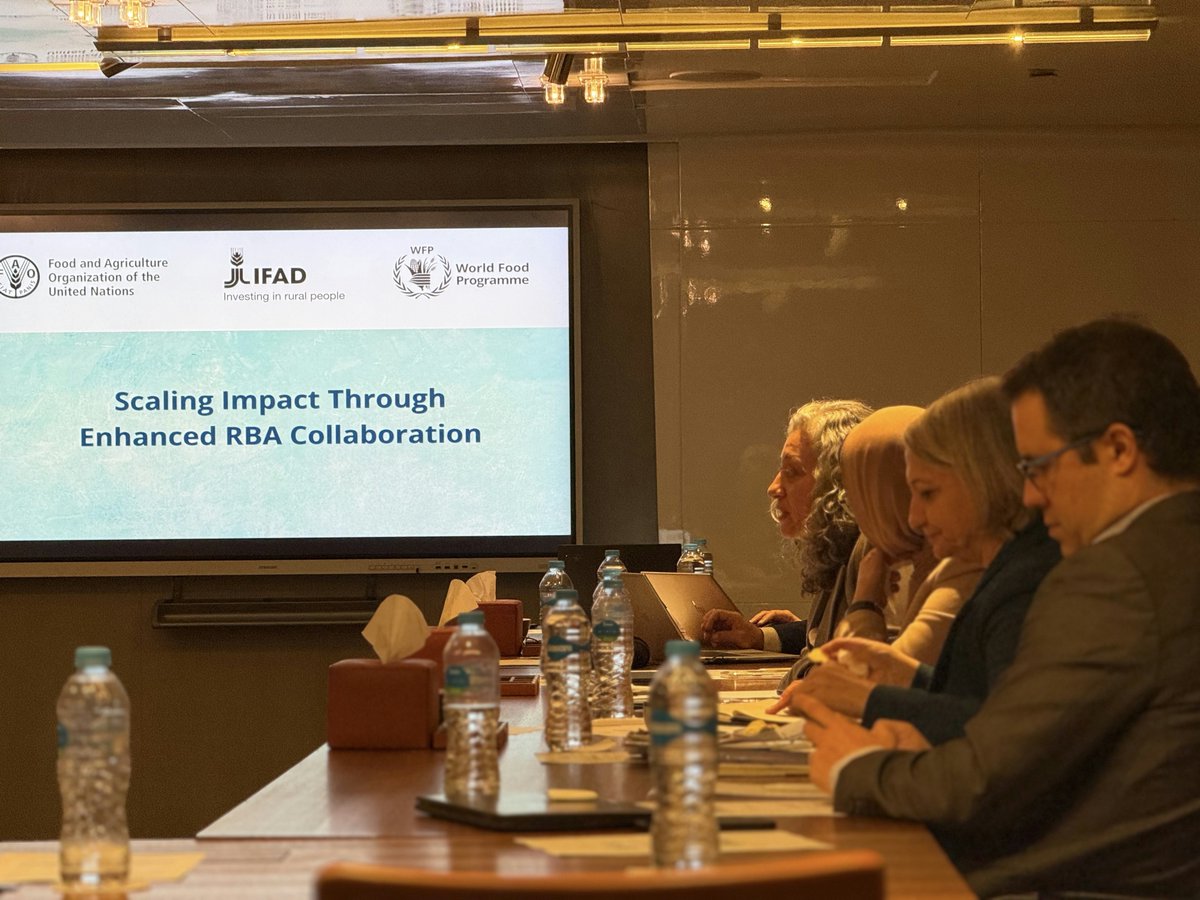 Rawad Halabi tweet media