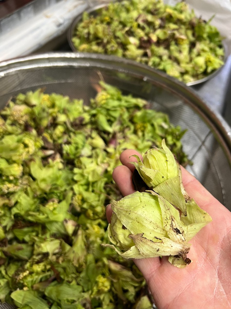 支那そば・無双庵｟夜営業は金土のみ☆18時〜20時半｠ tweet media