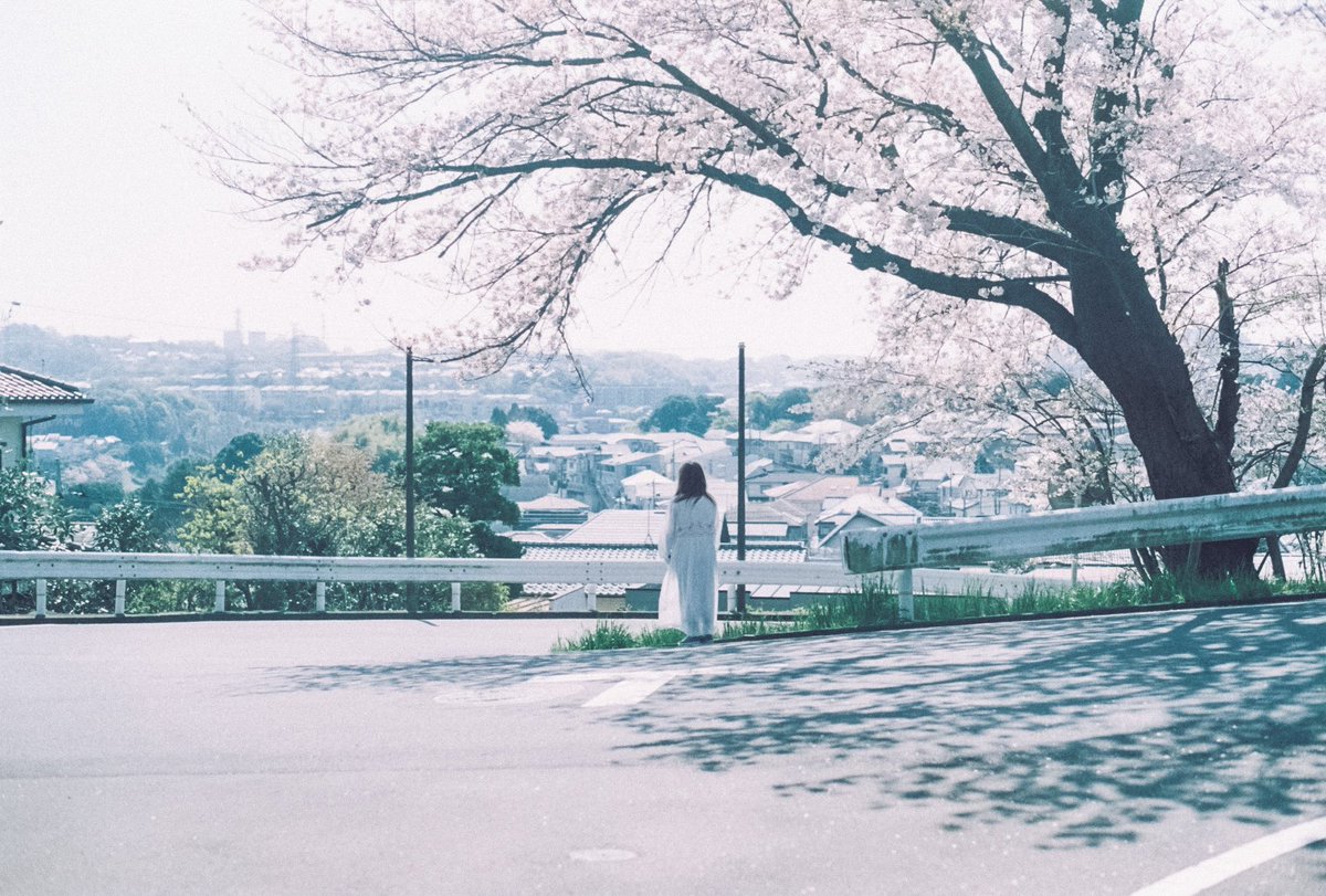 and_monami's tweet photo. 聖蹟桜ヶ丘の春

名前に負けない、
桜も街も全てが綺麗な街だった https://t.co/LcebGbeUDH