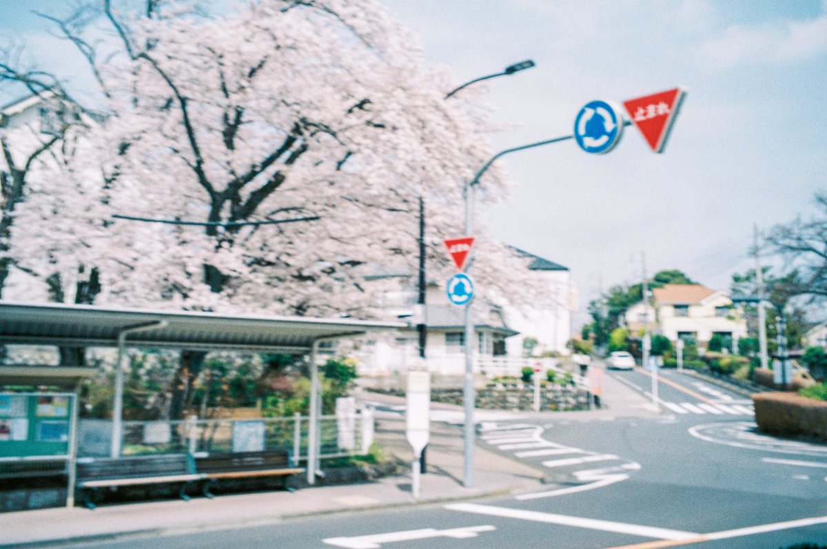 and_monami's tweet photo. 聖蹟桜ヶ丘の春

名前に負けない、
桜も街も全てが綺麗な街だった https://t.co/LcebGbeUDH