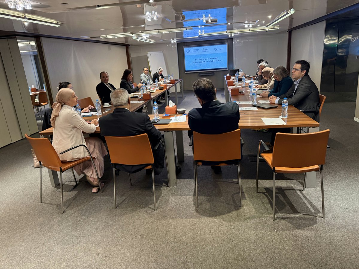 Rawad Halabi tweet media