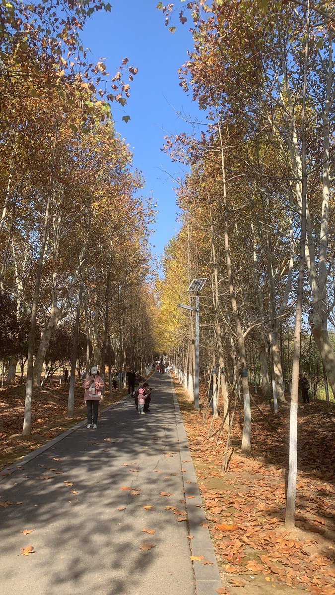 Beth Deki tweet media