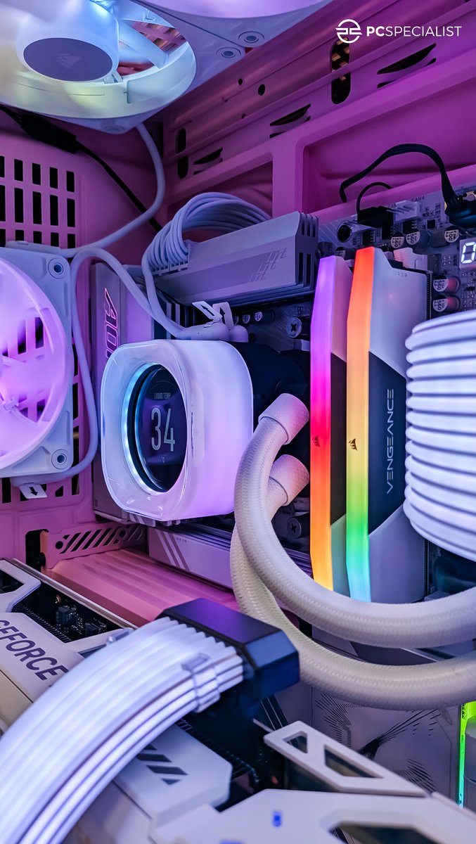 PCSpecialist tweet media