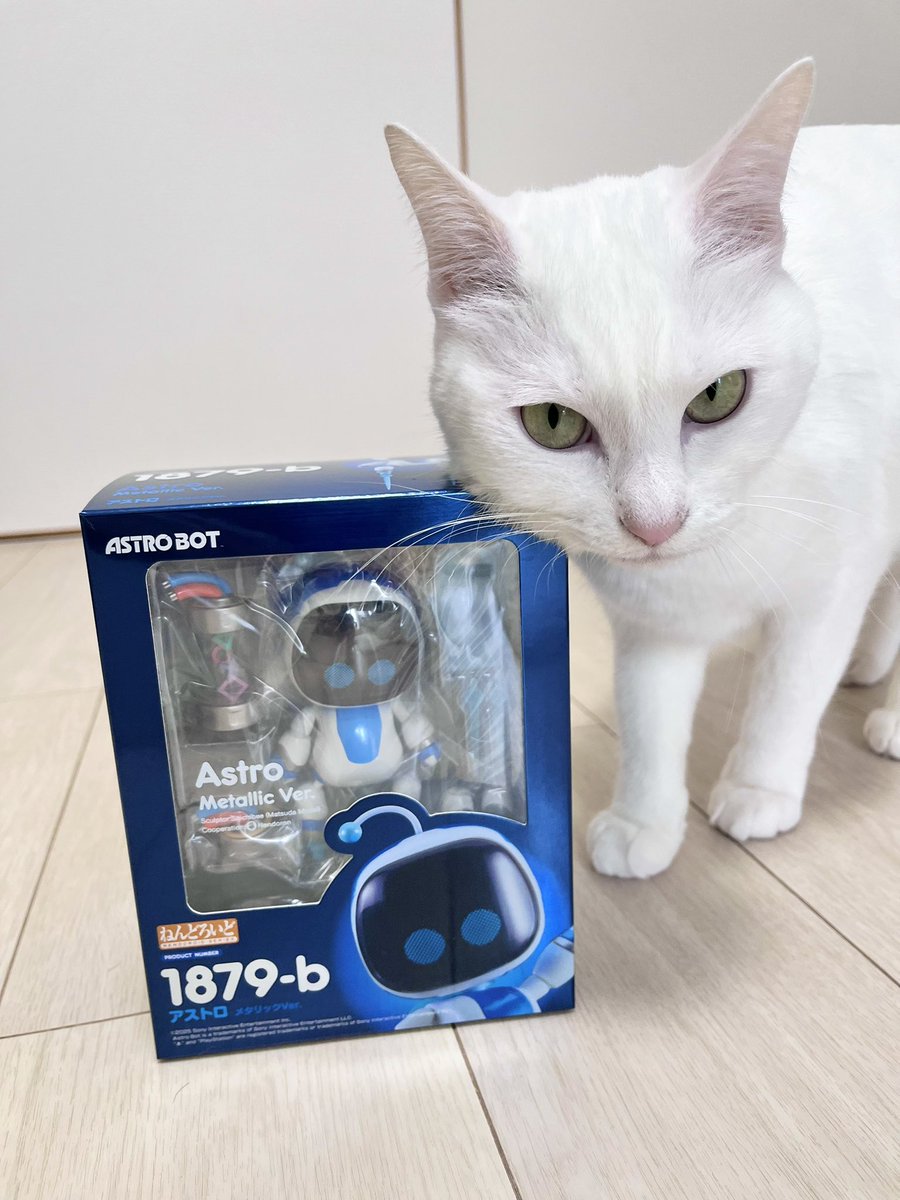NumakeisQ's tweet photo. アストロボットのねんどろいどを衝動買いしてしまった…！（猫かわいいだろぅ？） https://t.co/f15f1yTxQT