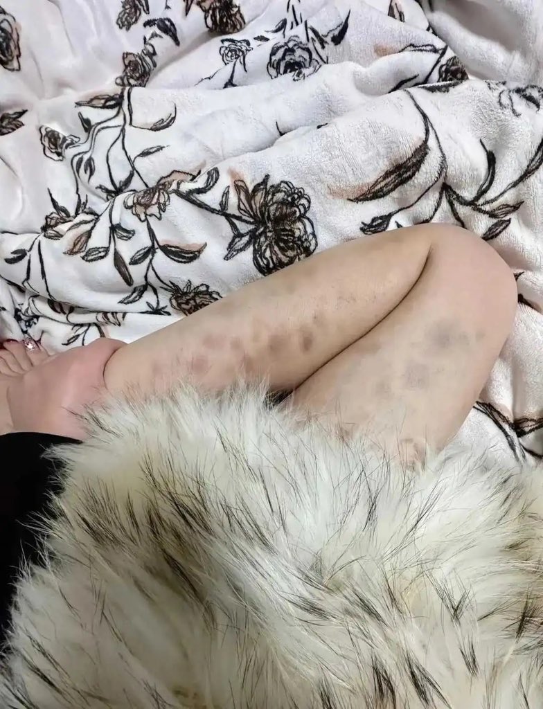 💋💋千山暮雪🌸🌸 tweet media