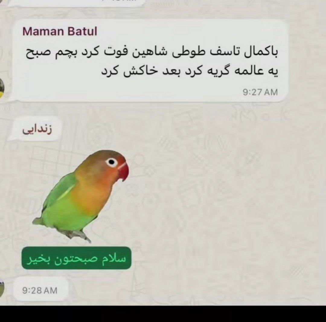 یازده و نیم (اکانت جدید) tweet media