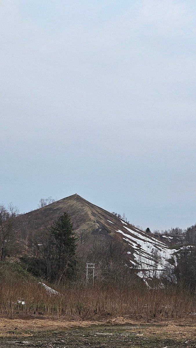 かっちゃん、 tweet media