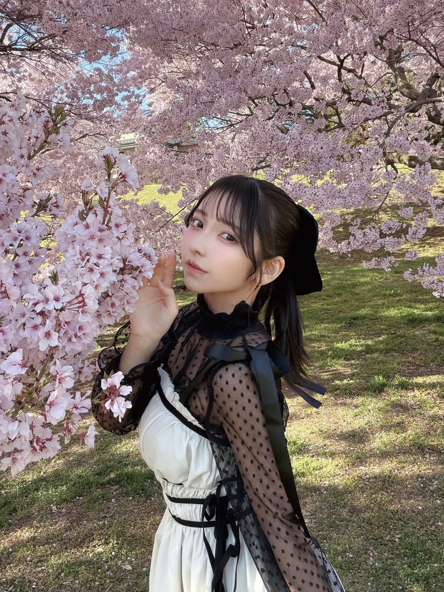 地元長野の桜、きれいだよね🌸