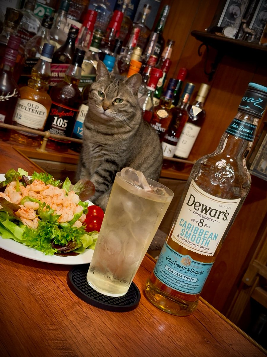 酒ダンディズム tweet media