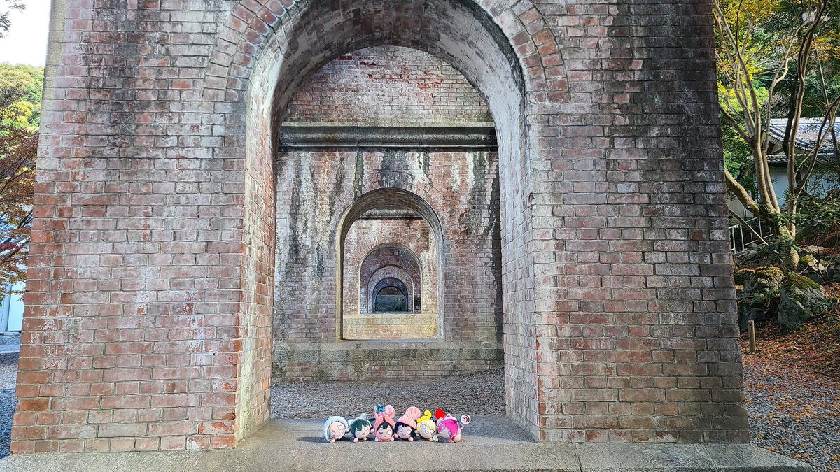 マイコォーさん@寝そべらー tweet media