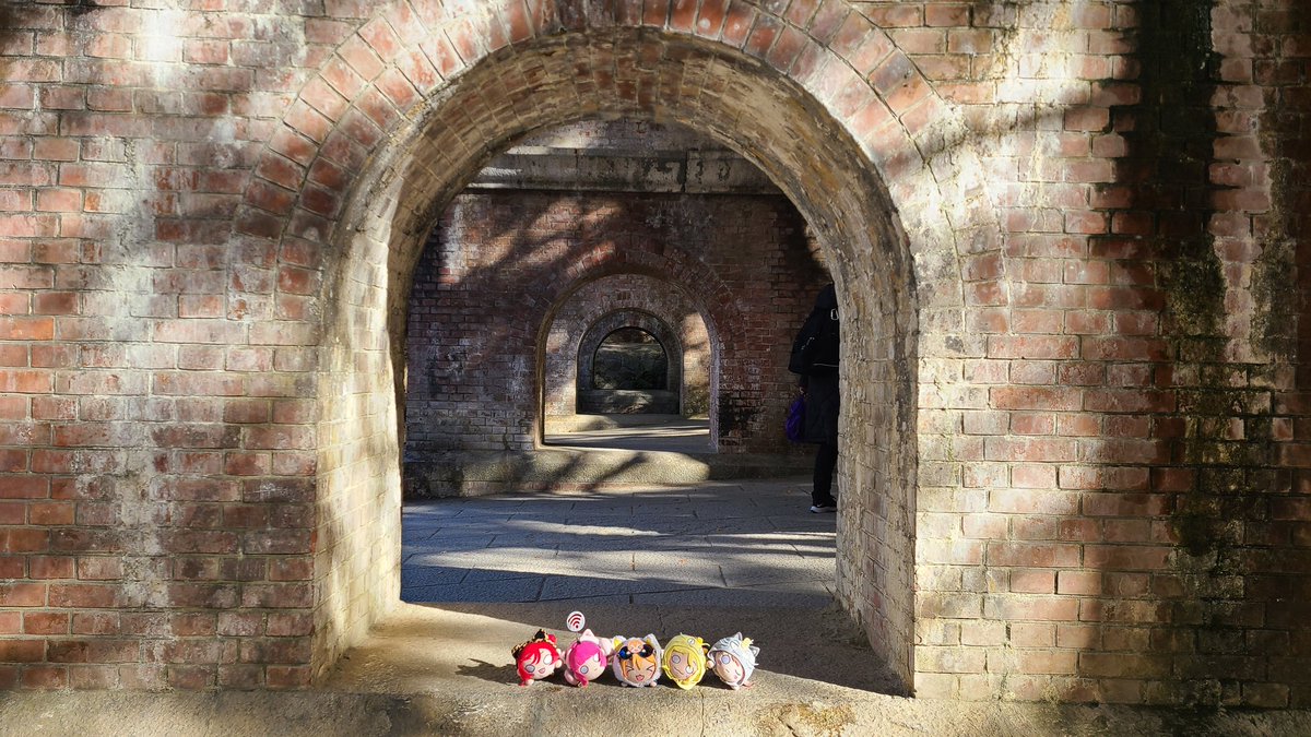 マイコォーさん@寝そべらー tweet media