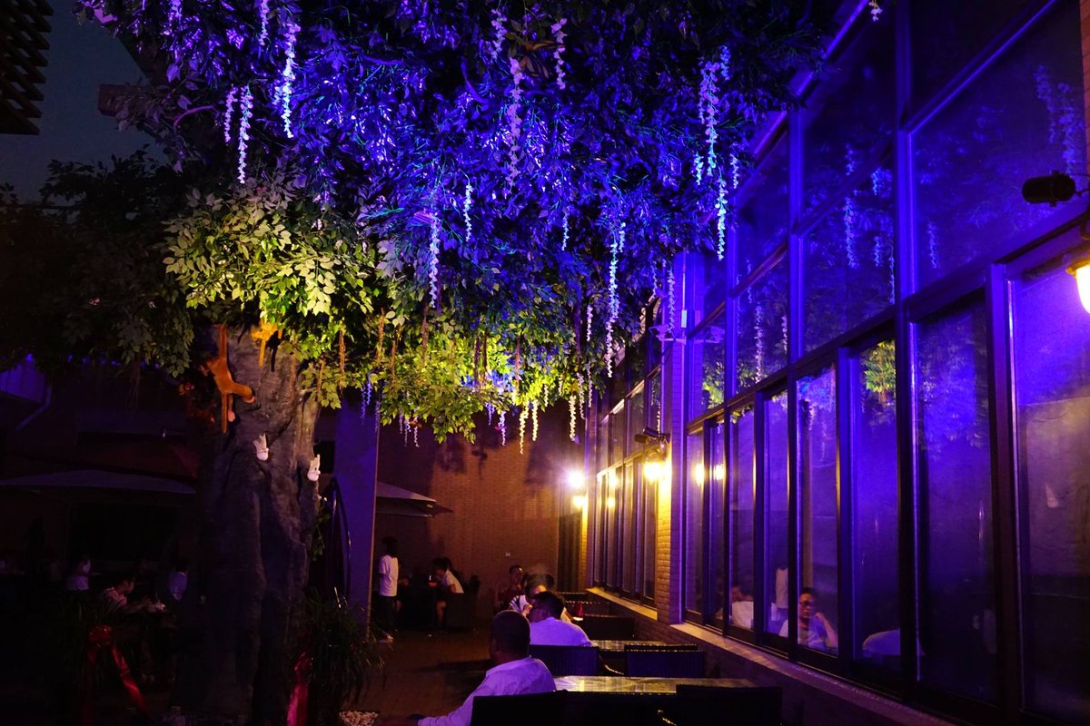 Shamirah tweet media