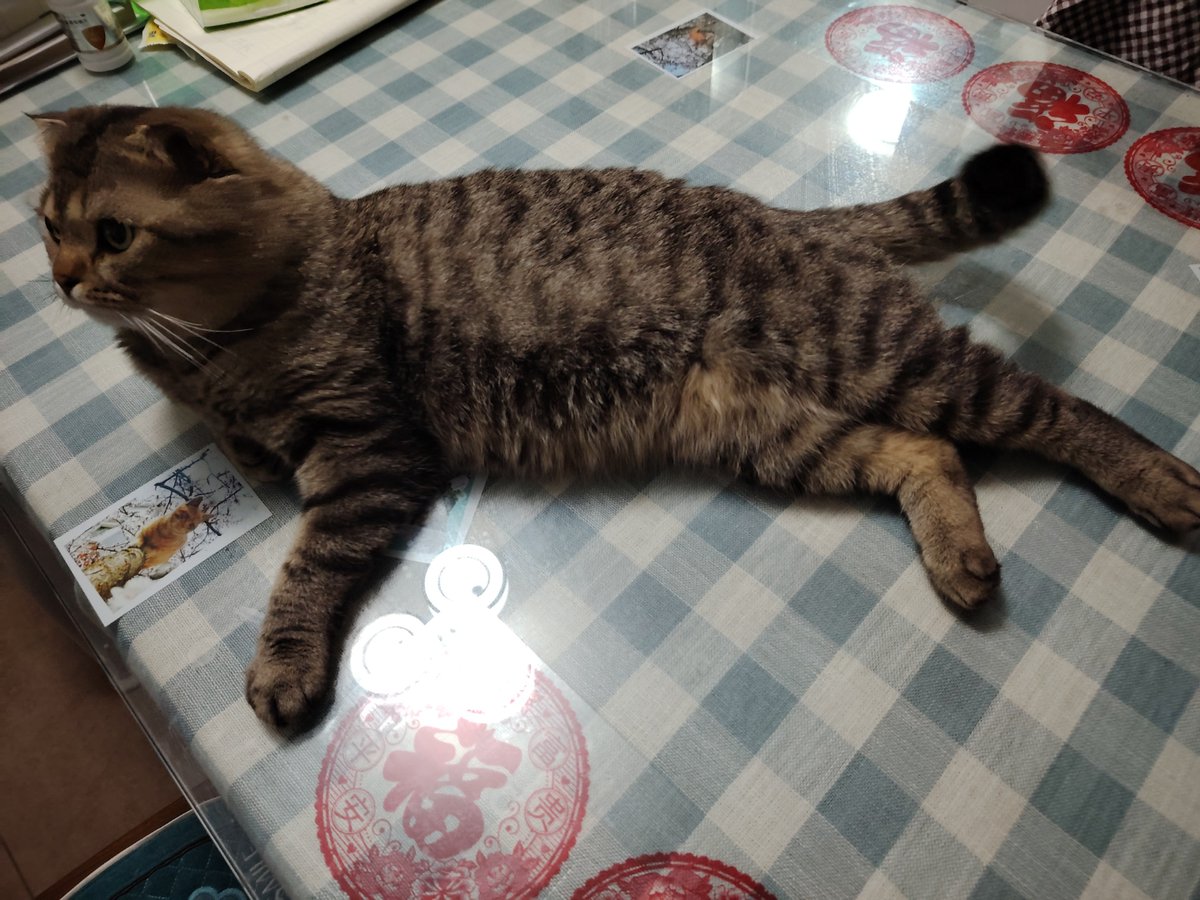 Данила Крючков tweet media