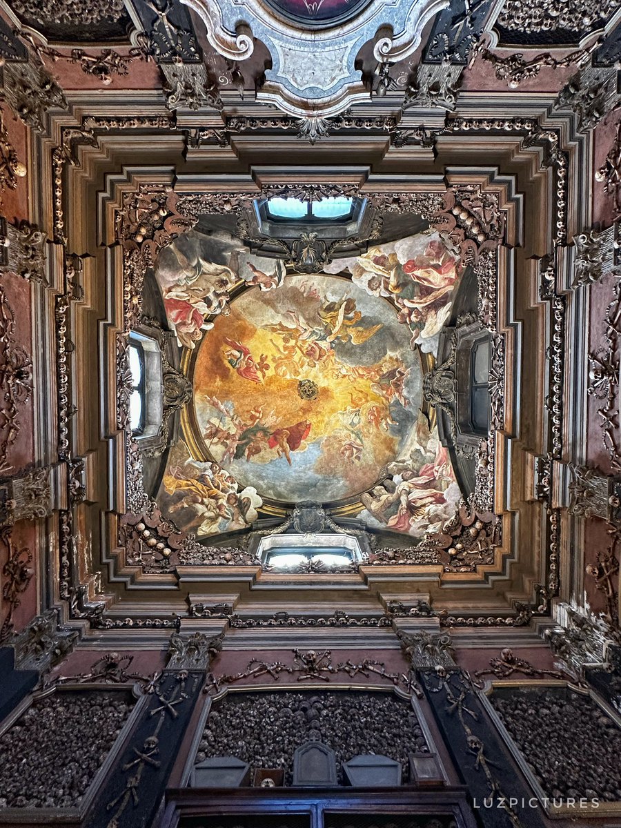 LuzPictures tweet media