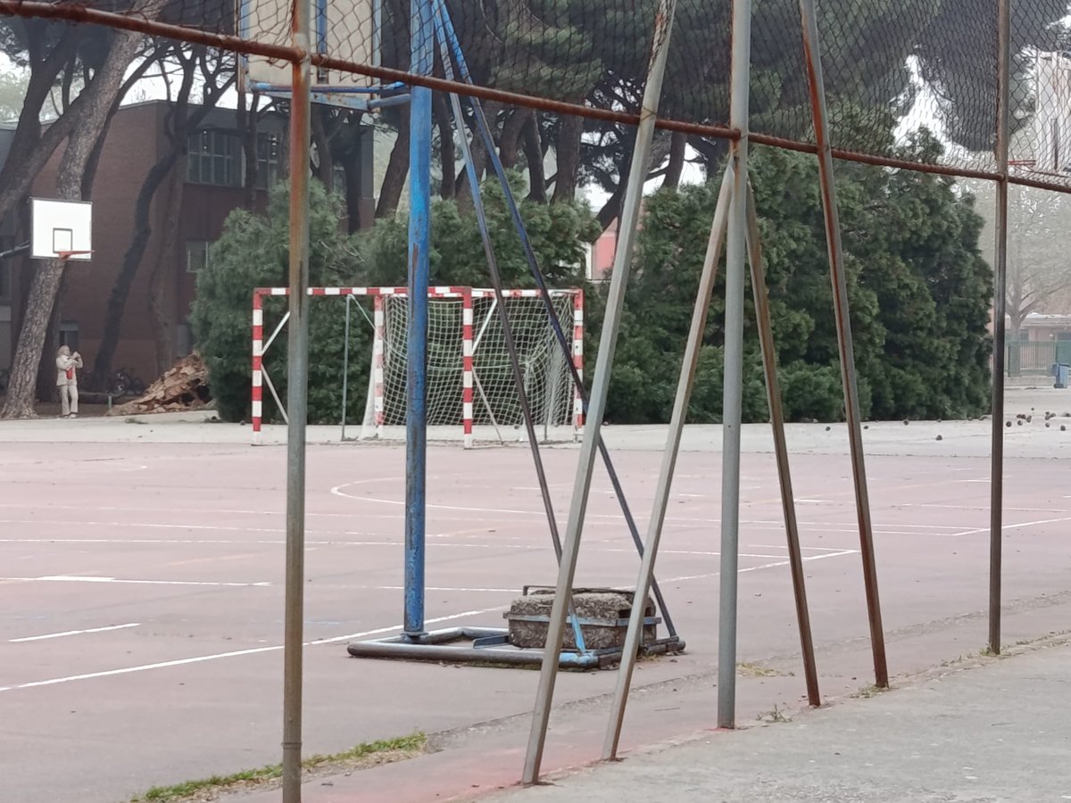 Saúl Vega tweet media