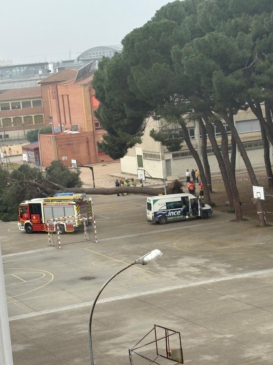 Saúl Vega tweet media