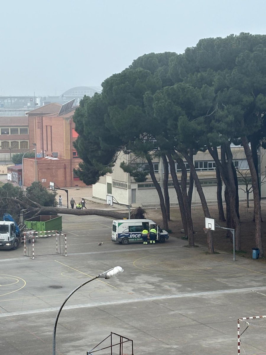 Saúl Vega tweet media