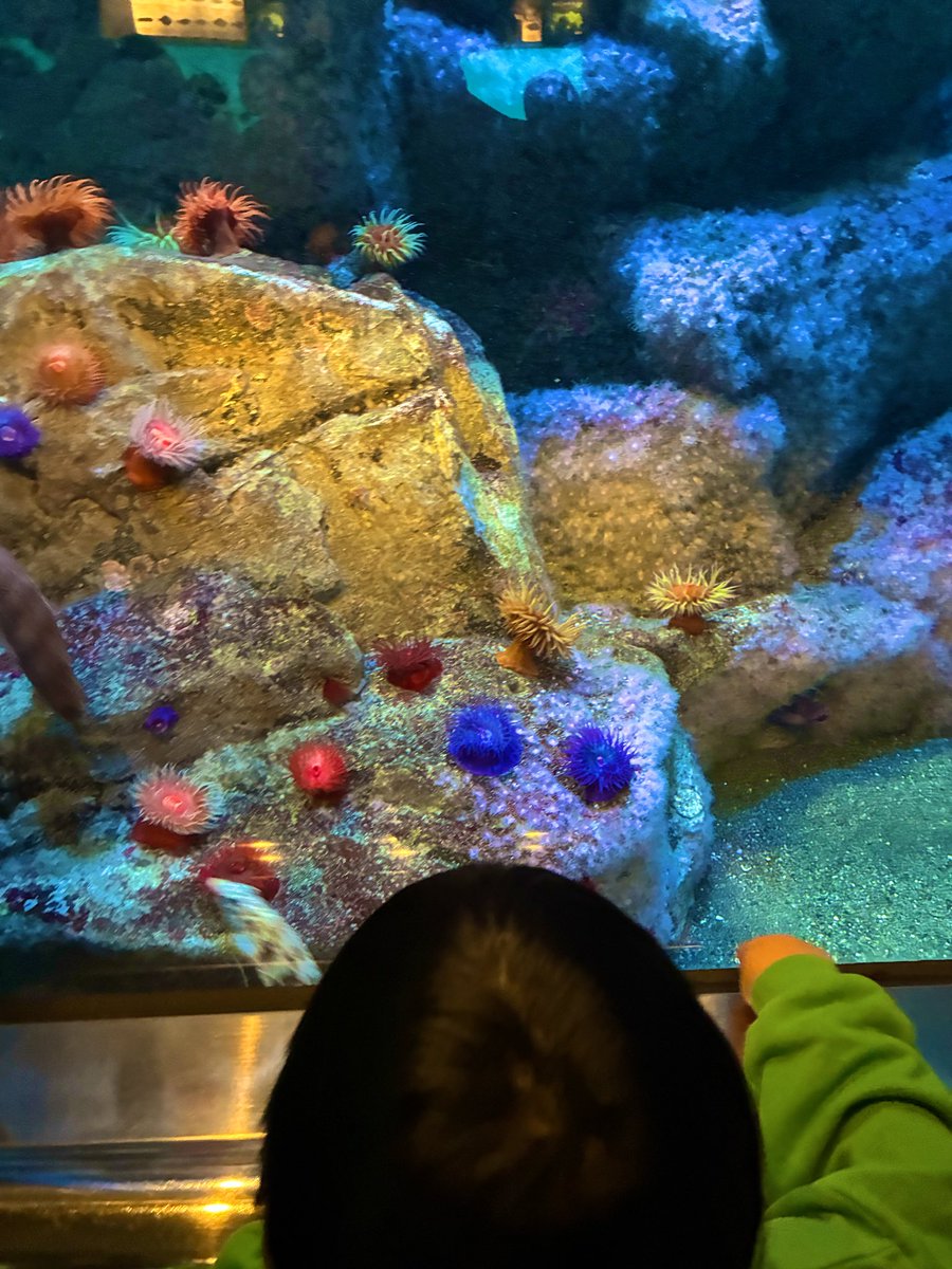 川道洋之(Have a good age) tweet media