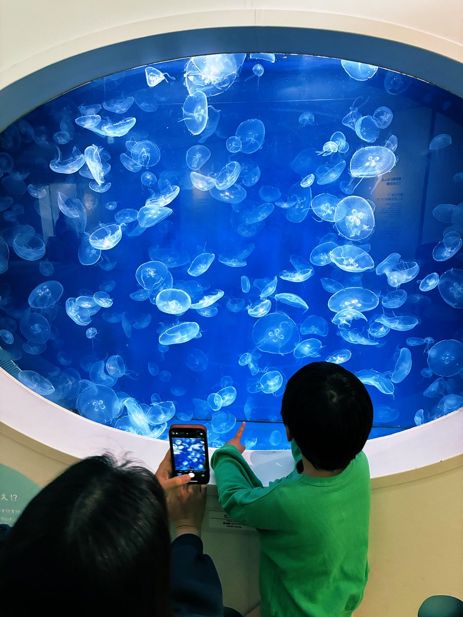 川道洋之(Have a good age) tweet media