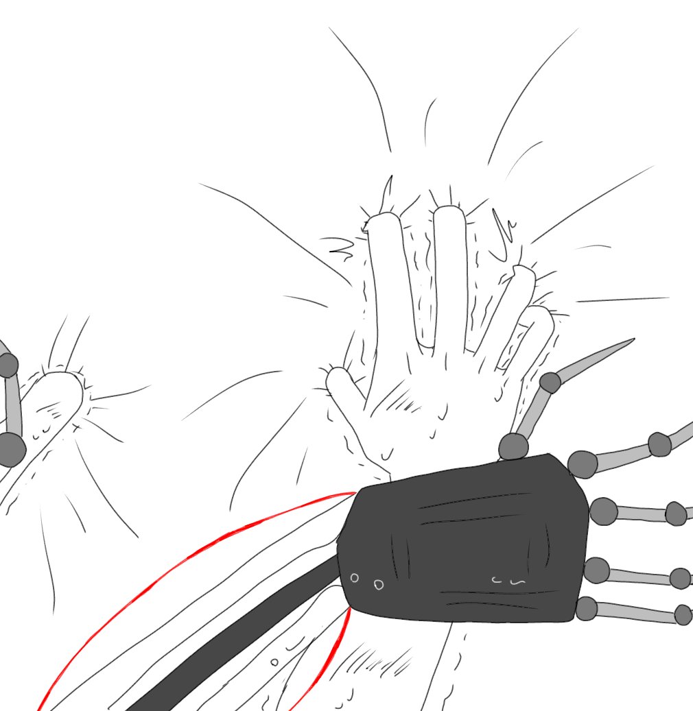 とりっきorねあ tweet media