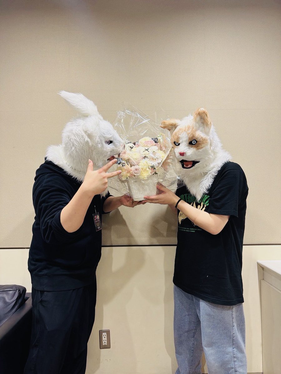 ネコさん tweet media