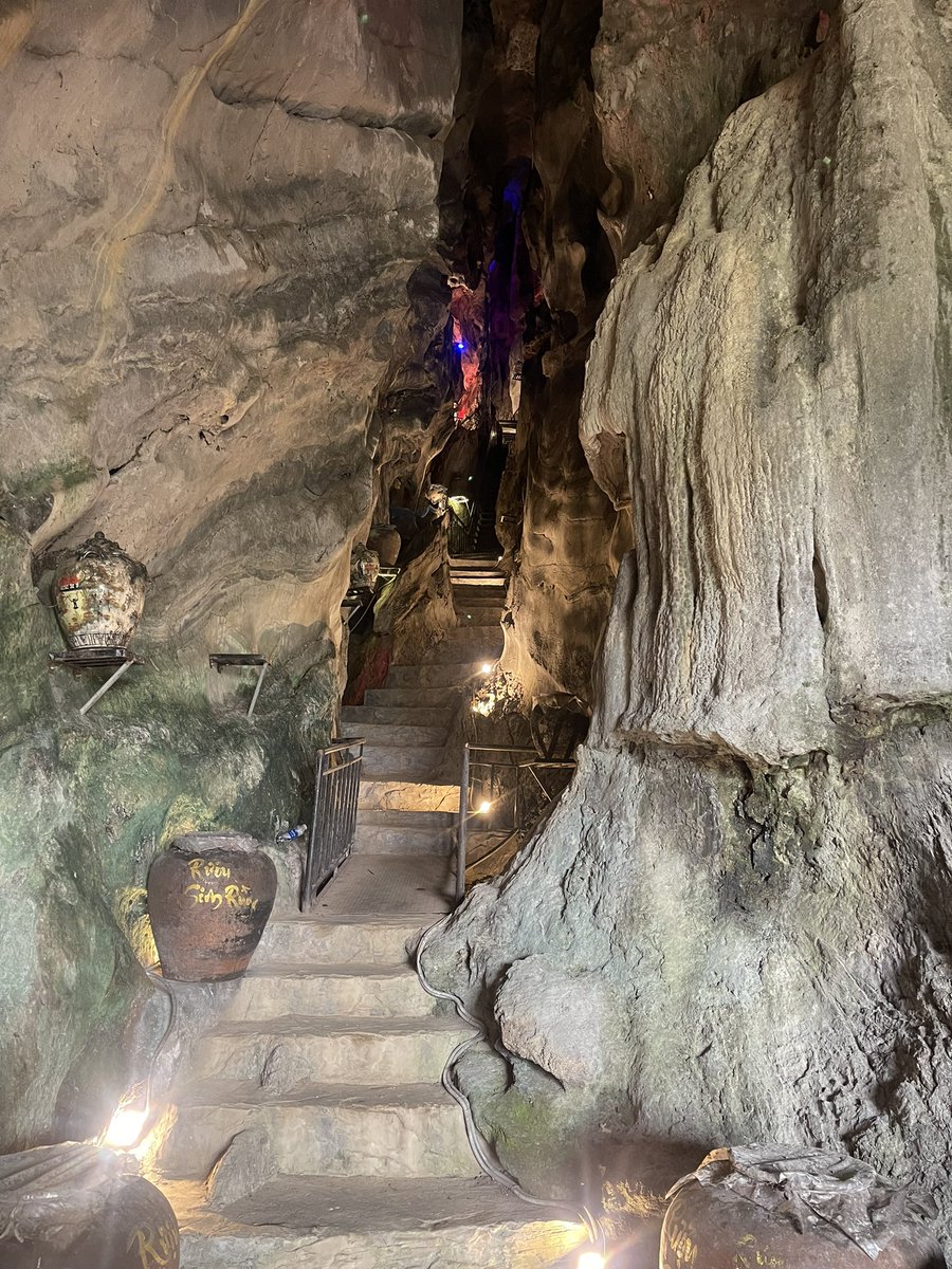 Thanh Hương | Rosie tweet media