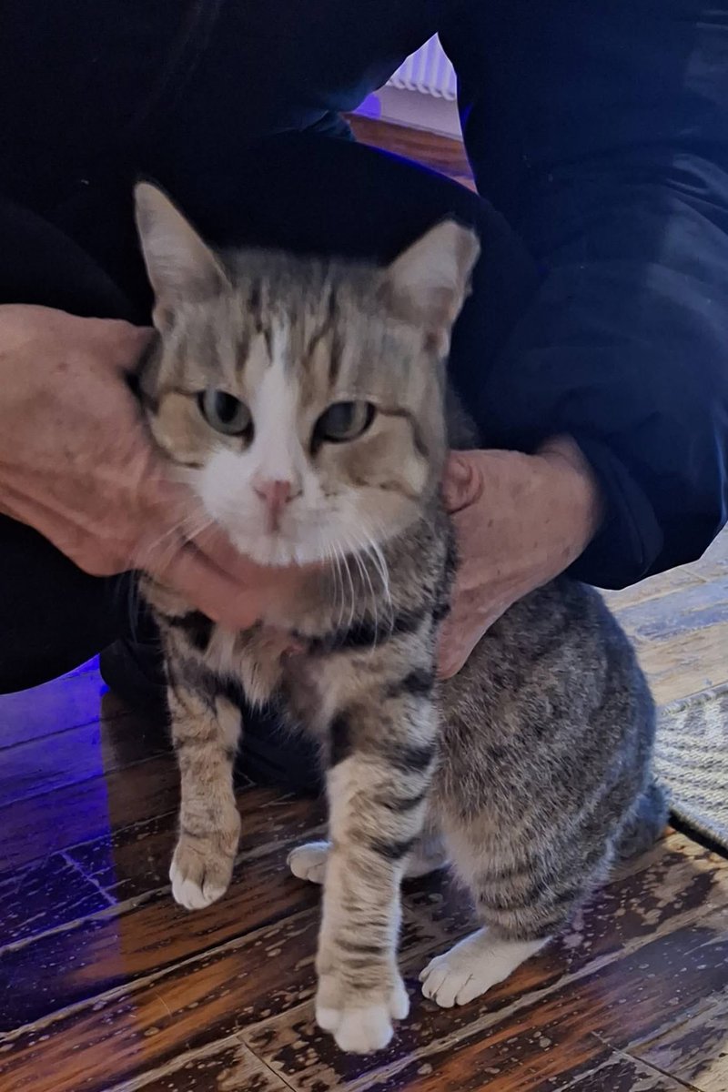 ChristiP tweet media