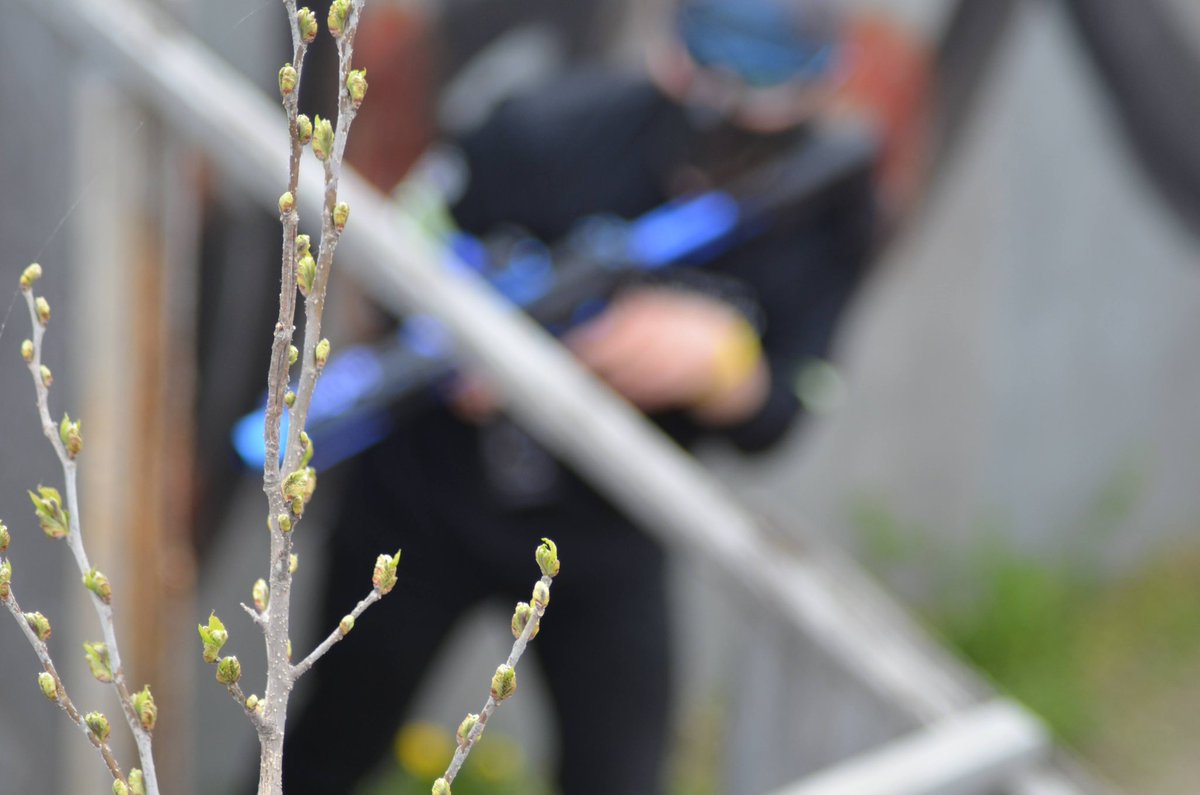 サバイバルゲームフィールドSISTER tweet media