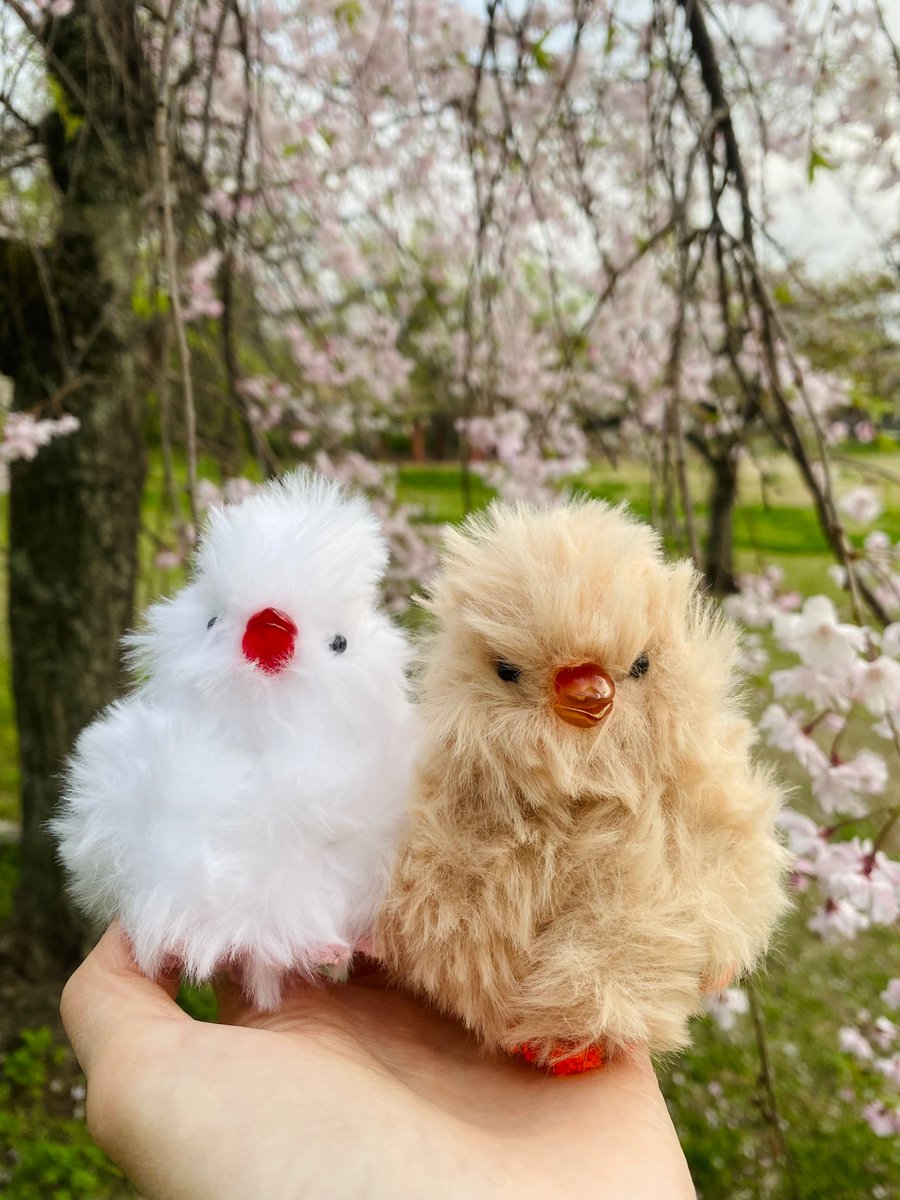 きみどりいろ🕊️DM販売中 tweet media