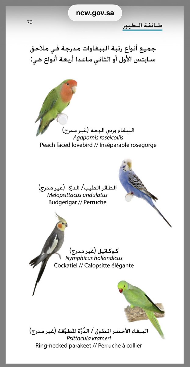 hs_alghamdi's tweet photo. @NCW_center 
١- ماهو التصرف المطلوب من مقتني الحيوانات الغازية مثل ببغاء الراهب والإكسندرين
وهل على مقتنيها غرامة؟

٢- هل يجب اصدار شهادة ملكية للحيوانات خارج الاتفاقية؟ (راجع المرفق)

٣- كيف يمكن ان يكون الكائن مسجل في الملحق ٢ وفي نفس الوقت غازي؟ مثل: Myiopsitta monachus https://t.co/tyuNgacTji
