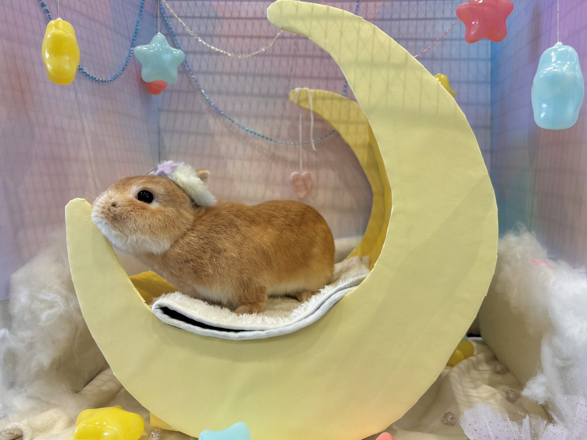 れんちゃん～