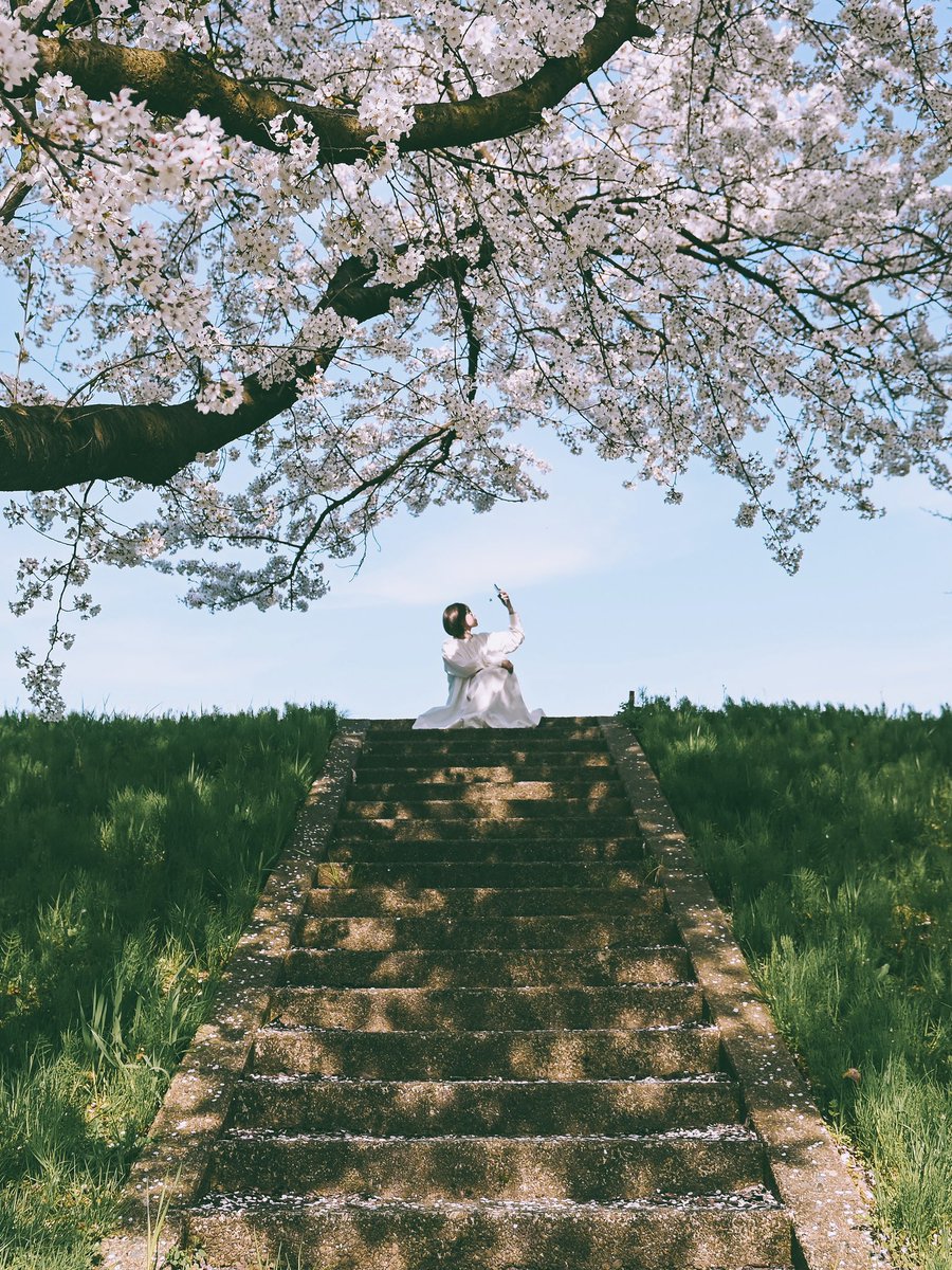 yuki tweet media