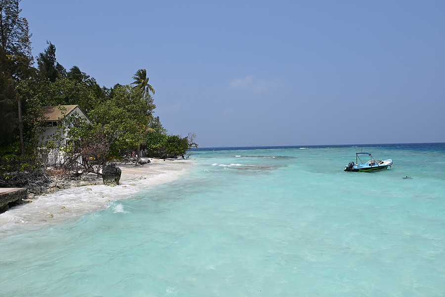 PantipTravel's tweet image. 🏝🌤  วันเดียวเที่ยวมัลดิฟส์ [One day in Maldives]

📌 pantip.com/s/1w1CA

#บลูแพลนเที่ยว #บลูแพลนเน็ต #Blueplanet #Maldives #เที่ยวเกาะ #เที่ยวมัลดีฟส์ #มัลดีฟส์ #เที่ยวต่างประเทศ