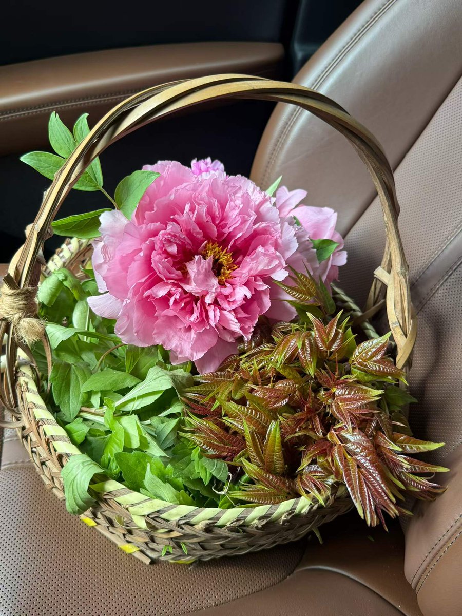 🌺吹水茶館 🌺🍲🍜🥟🍣Foodies' world 🐱🐶（互赞互fo) tweet media