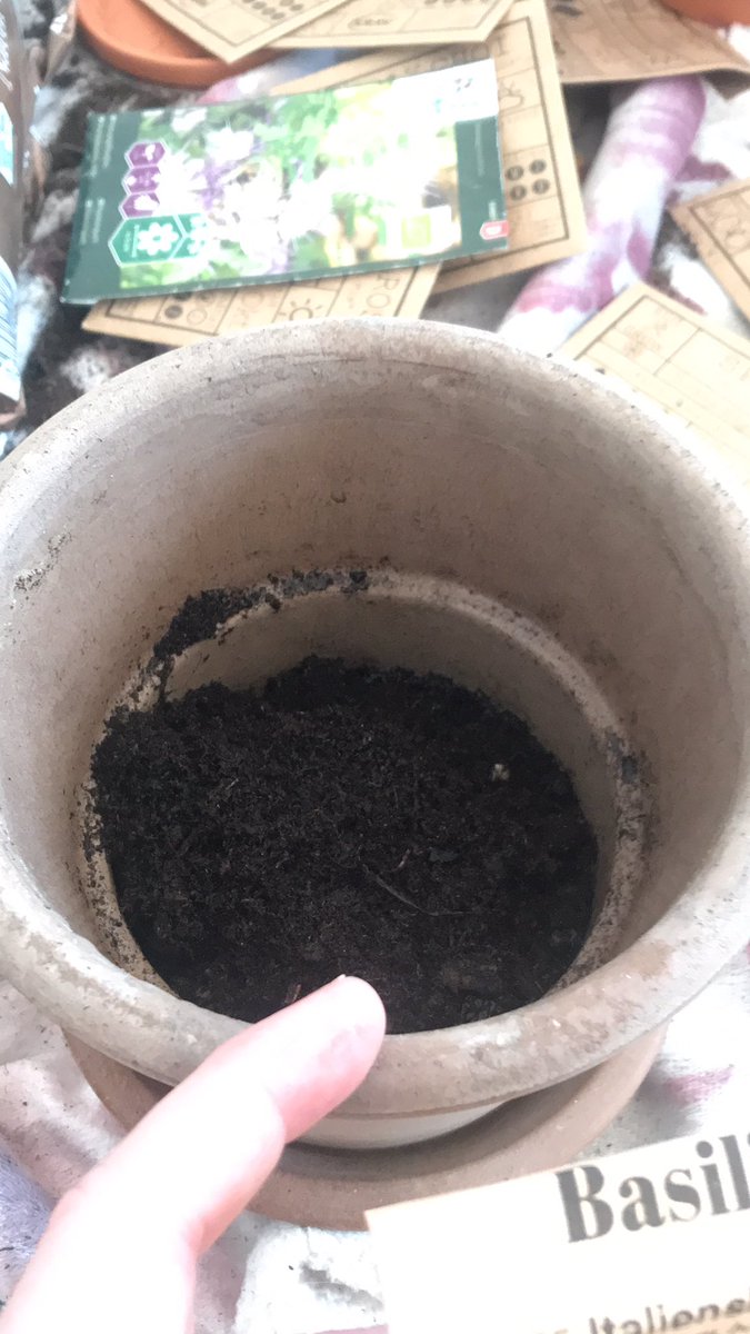 Isa₿elle 🧡 ₿ as in Bitcoin tweet media