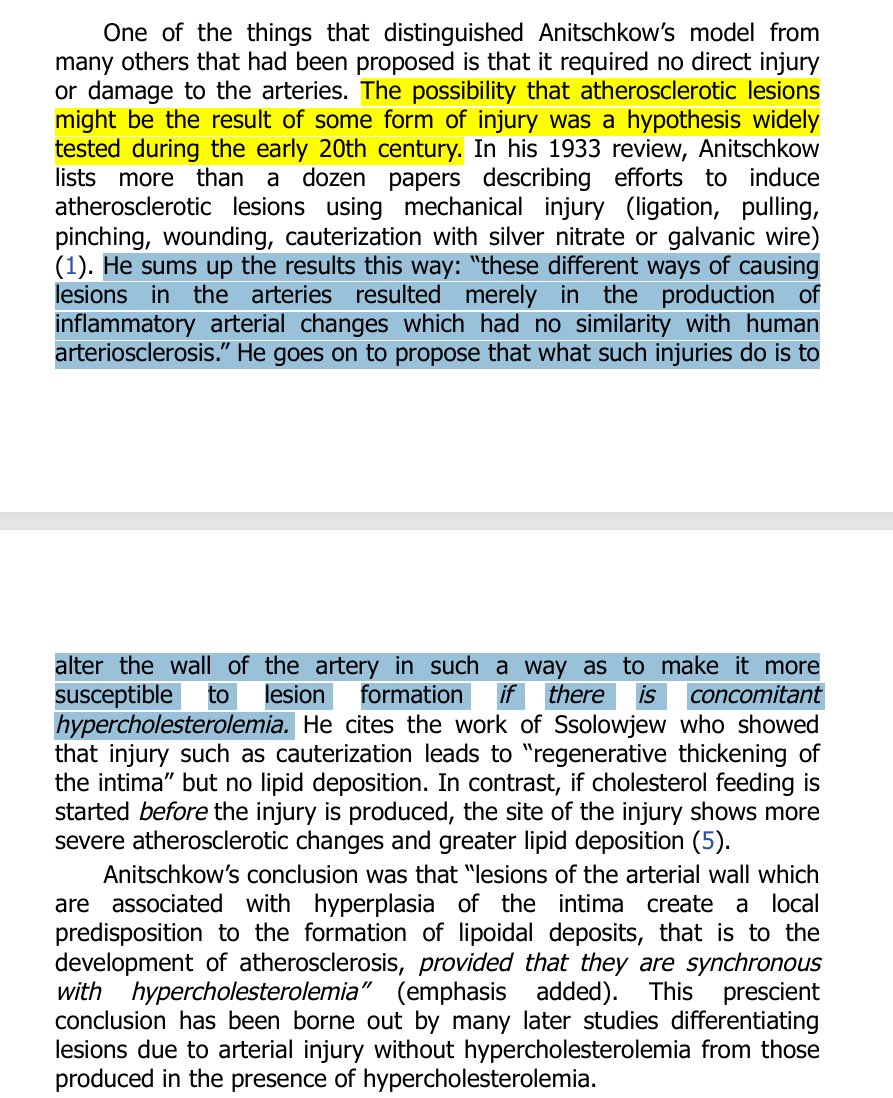 Christoffer Baustad Nilsen 🐈‍ tweet media