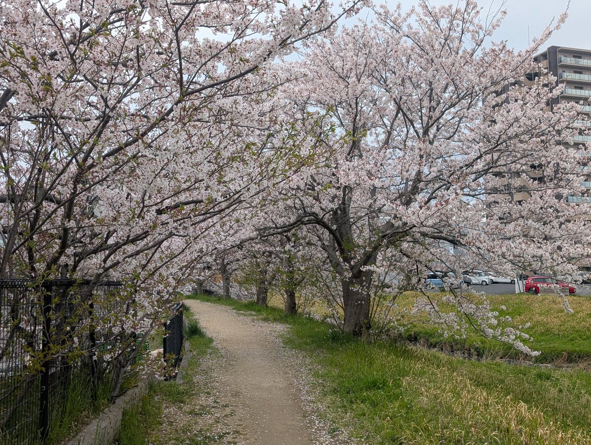 負傷中チョロ松氏 tweet media