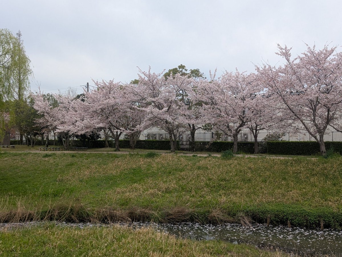 負傷中チョロ松氏 tweet media