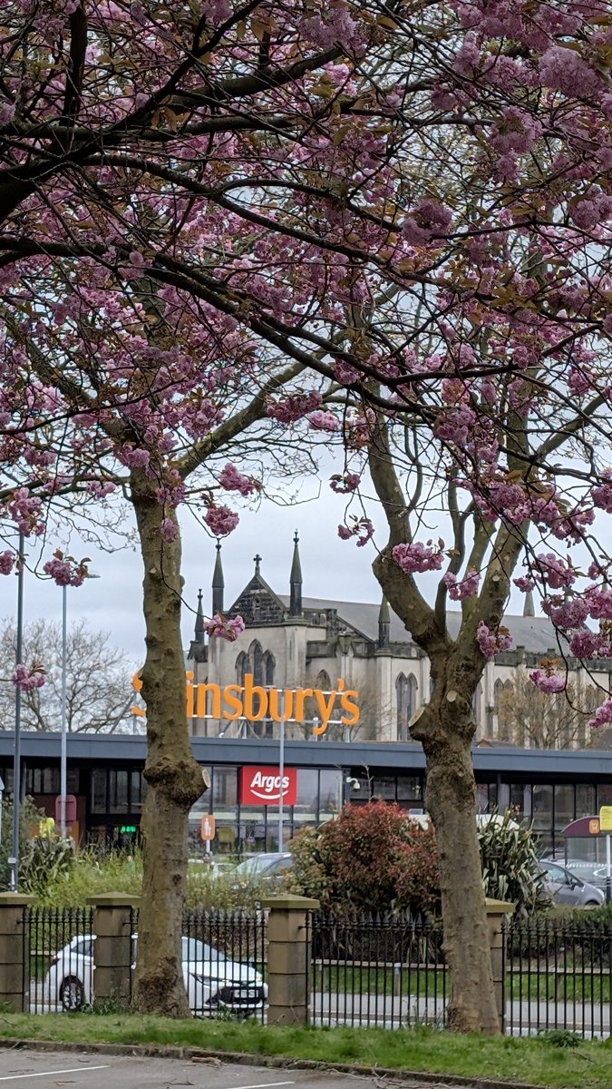 LiverpoolVista's tweet image. Beautiful Everton. There's two words I never thought I'd put together😉
#Liverpool #cherryblossom