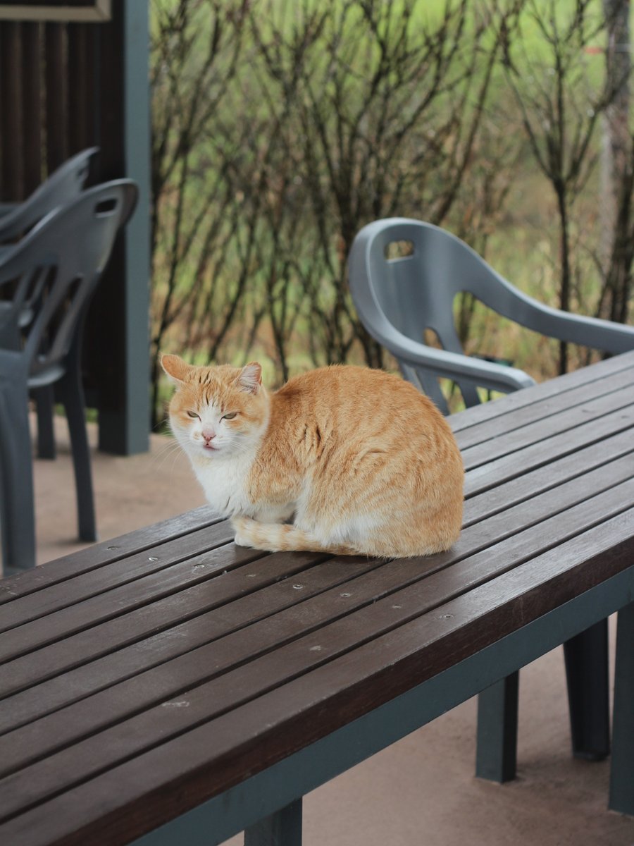 국립세종수목원 처돌이🕯 tweet media