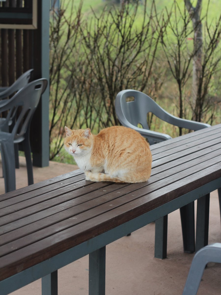 국립세종수목원 처돌이🕯 tweet media