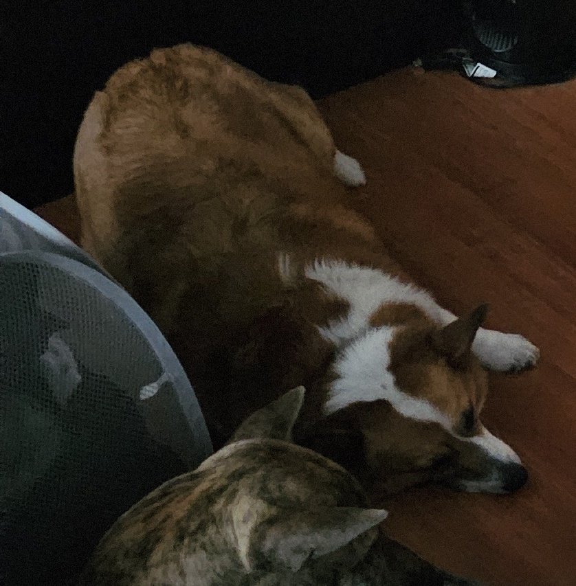 Miss Mitchi tweet media