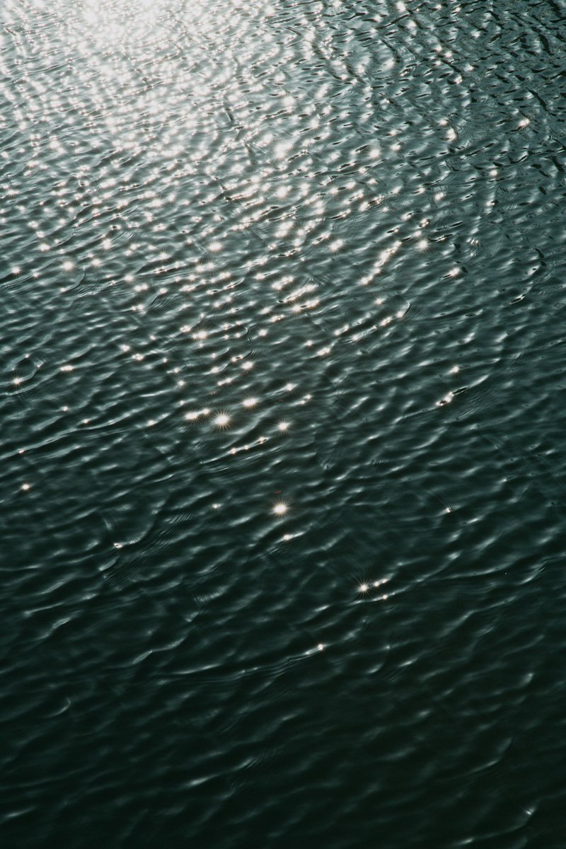 アキモト tweet media