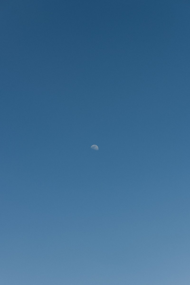 アキモト tweet media