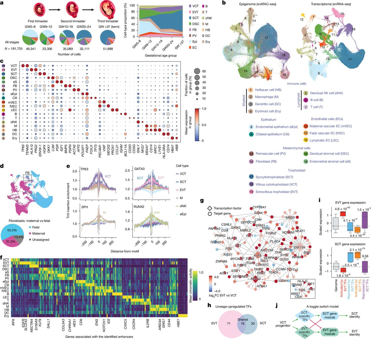 EpigenomeTech's tweet photo. Epigenetics Update - Single-cell spatiotemporal dissection of the human maternal–fetal interface https://t.co/jw64MDyjEa
Susan J. Fisher and Jingjing Li from @UCSF in Nature
#Epigenetics #SingleCell #MaternalFetalInterface
---
Gain hi-res insight at https://t.co/WmSYDGXnzb https://t.co/2BdEmhibhG