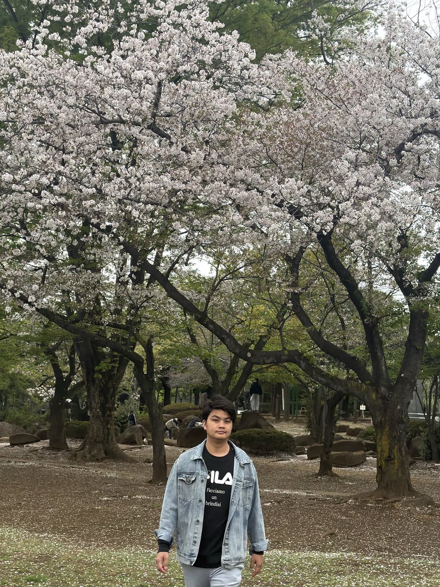 LamaAzay's tweet photo. 桜🌸(cherry blossom)#2026#japan https://t.co/GPe5vjz9Z0