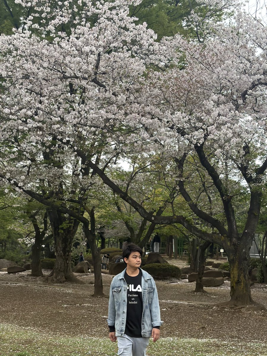 LamaAzay's tweet photo. 桜🌸(cherry blossom)#2026#japan https://t.co/GPe5vjz9Z0